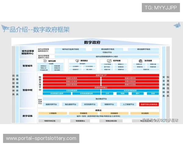 数字政务平台对接体育审批 提高行政效率
